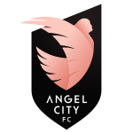 ACFC-Logo